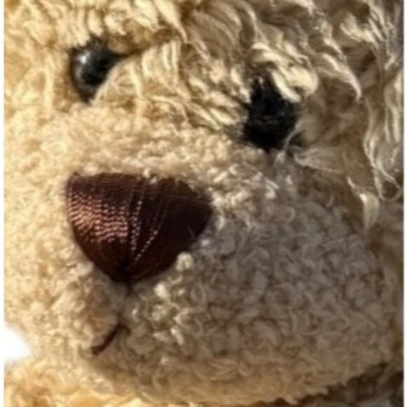 Build A Bear Curly Teddy Plush Stuffed Dog Puppy Security Support Pet Toy - Picture 7 of 15